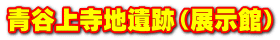 青谷上寺地遺跡（展示館）